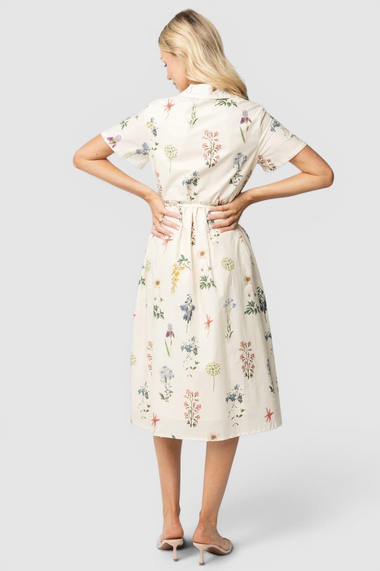 Marley Midi Dress, Alternate, color, Ivory + Multi Floral