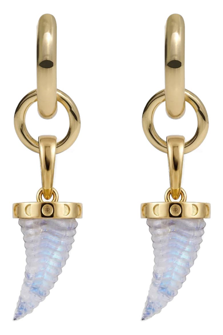 x Jhené Aiko Stone Saber-Tooth Collector Earring, Main, color, 14K GOLD VERMEIL