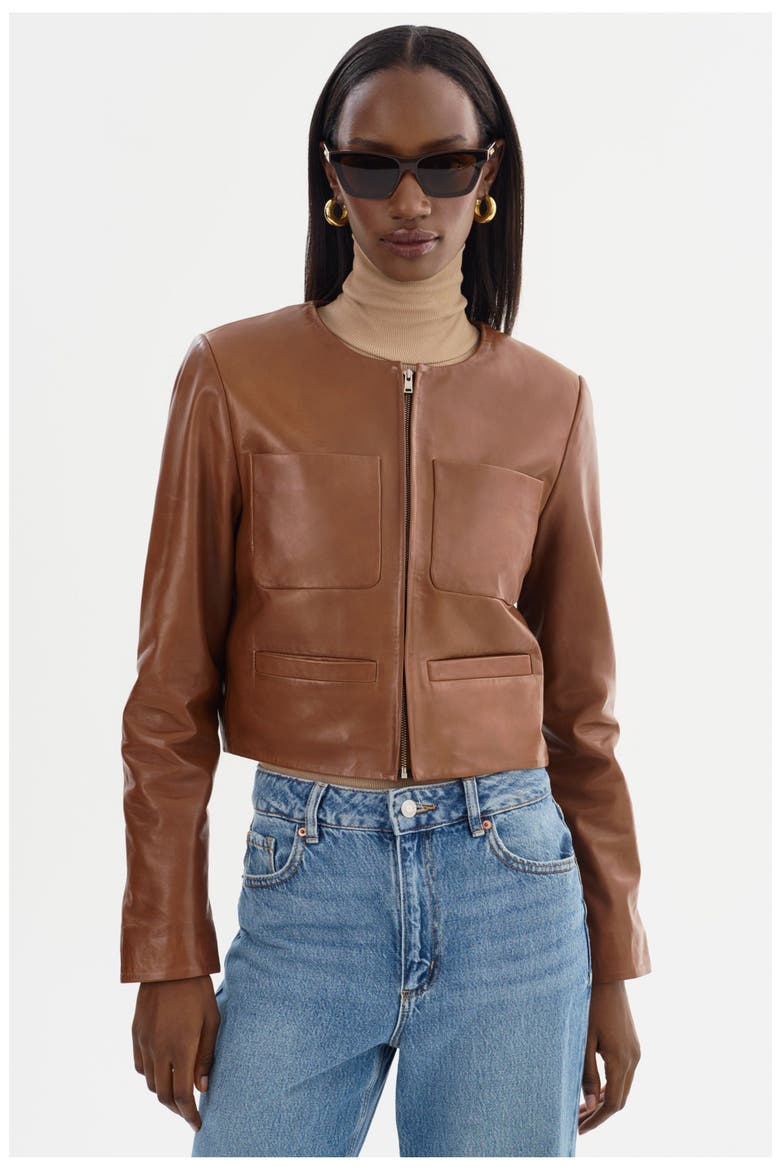 LINETTE | Leather Jacket, Main, color, Luggage