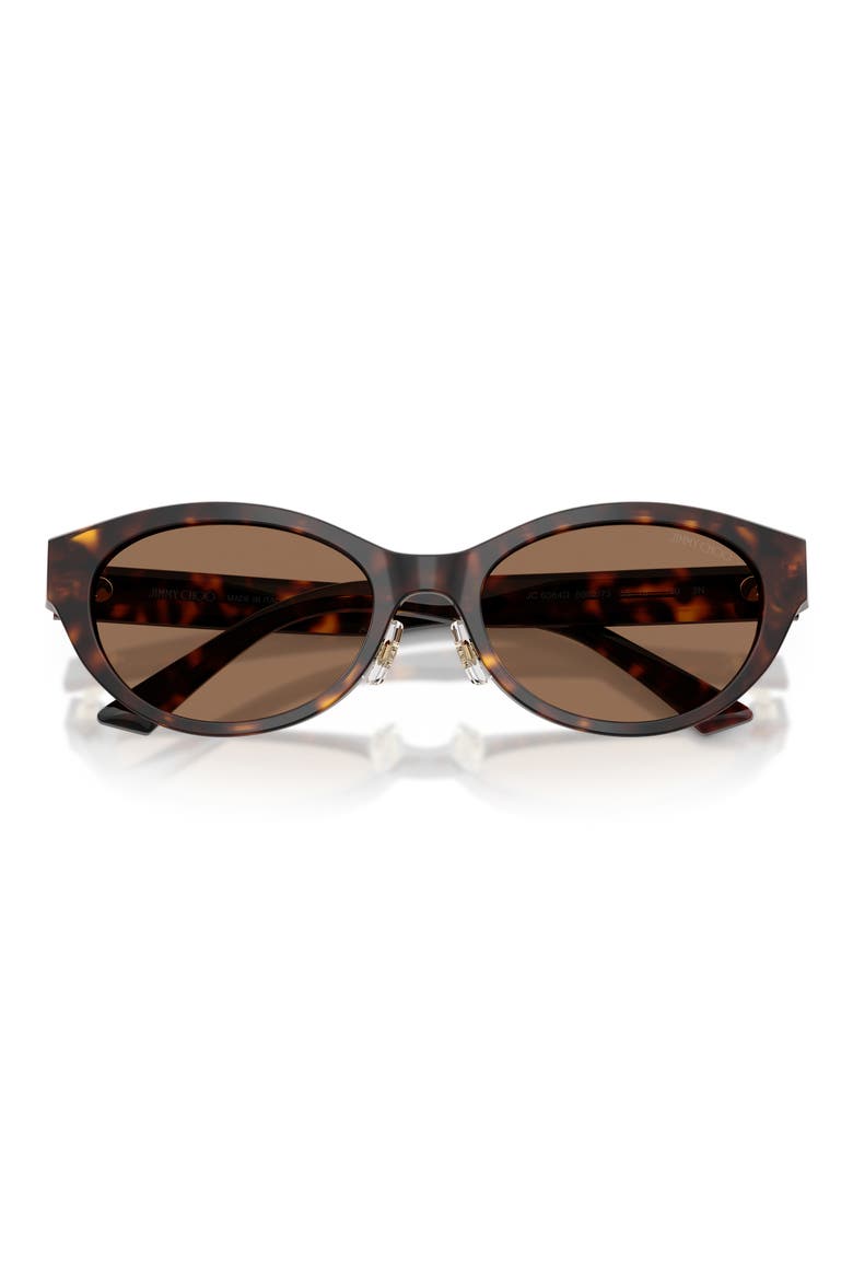 55mm Oval Sunglasses, Alternate, color, HAVANA / DARK BROWN