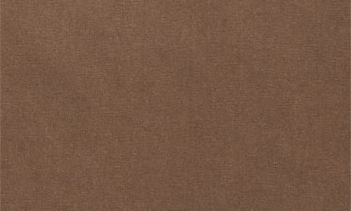 Pacsun What Lies Cotton Graphic T-shirt In Brown