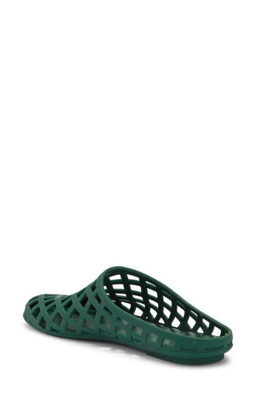 Mia Kandie Jelly Mule
