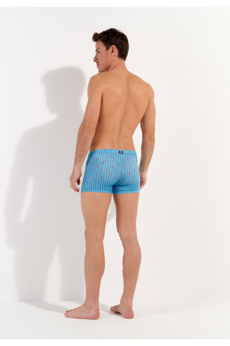 Espelette Swim Shorts, Alternate, color, Turquoise Print