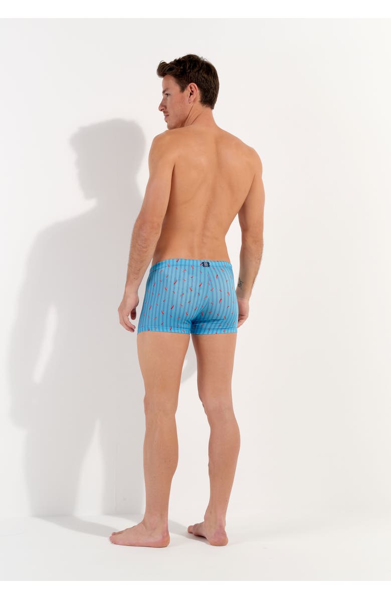 HOM Espelette Swim Shorts, Alternate, color, Turquoise Print