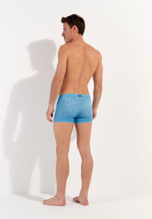 Hom Espelette Swim Shorts In Turquoise Print