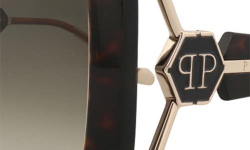 Philipp Plein Square-frame Acetate Sunglasses With Saddle Nose Bridge In Brown