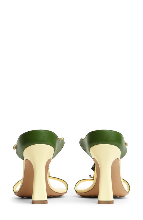 Bottega Veneta Rana Frog Embellished Leather Stiletto Mules In 7187 Camomile/avocado