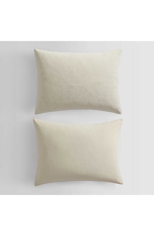 Calvin Klein Branching Leaves Duvet Cover & Sham Set In Cream