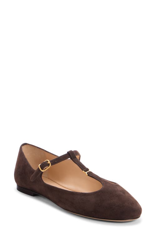 Chloé Marcie Embellished Suede Ballet Flats In Animal Print