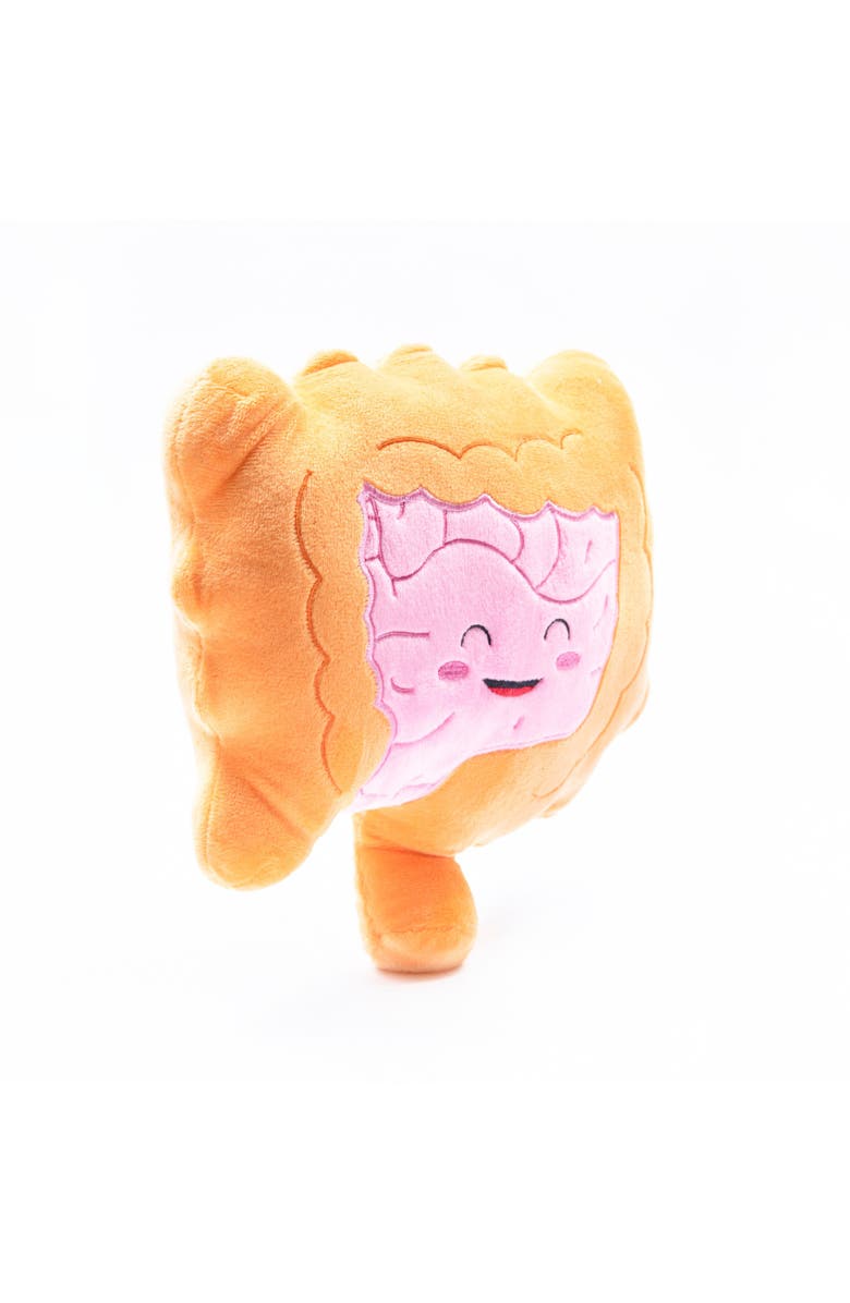 Nerdbugs Colon/Intestine Plushie Organ, Alternate, color, Light/Pastel Orange
