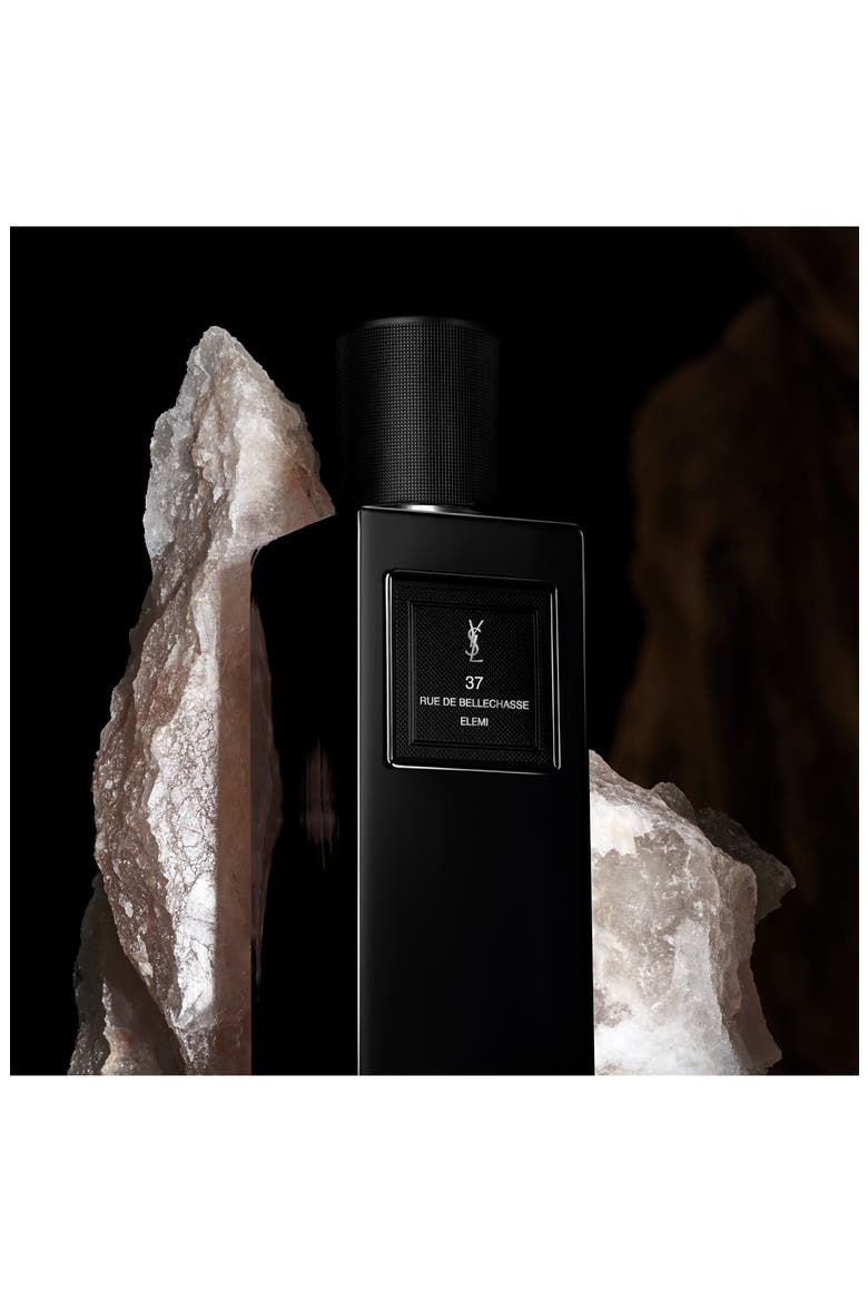 37 Rue de Bellechasse - Les Vestiaire des Parfums, Alternate, color, NO COLOR