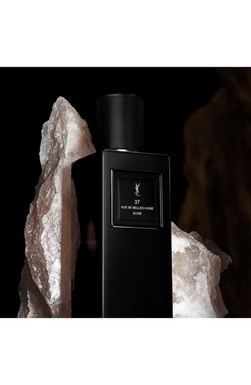 Saint Laurent Yves 37 Rue De Bellechasse In Transparent