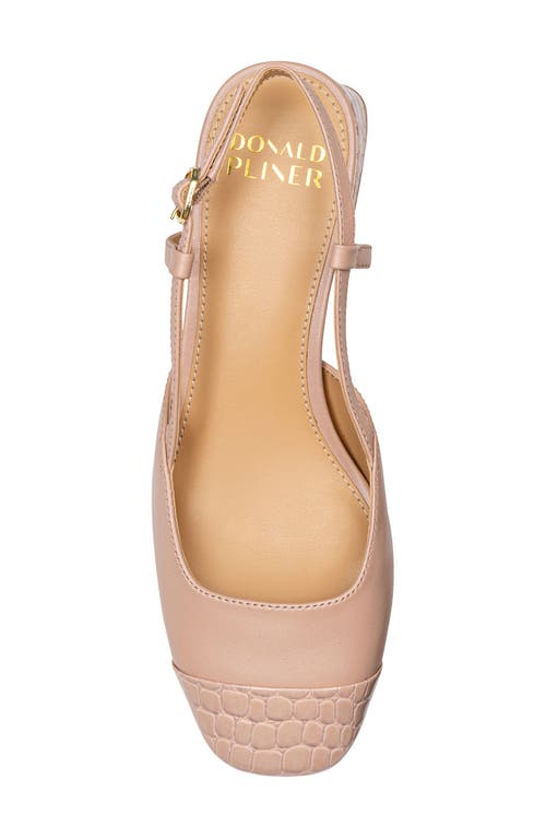 Shop Donald Pliner Croc Embossed Toe Slingback Pump In Rosette