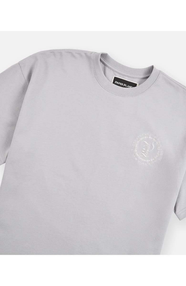 PAPER PLANES Planest Terry Washed Graphic T-Shirt, Alternate, color, Washed Grey