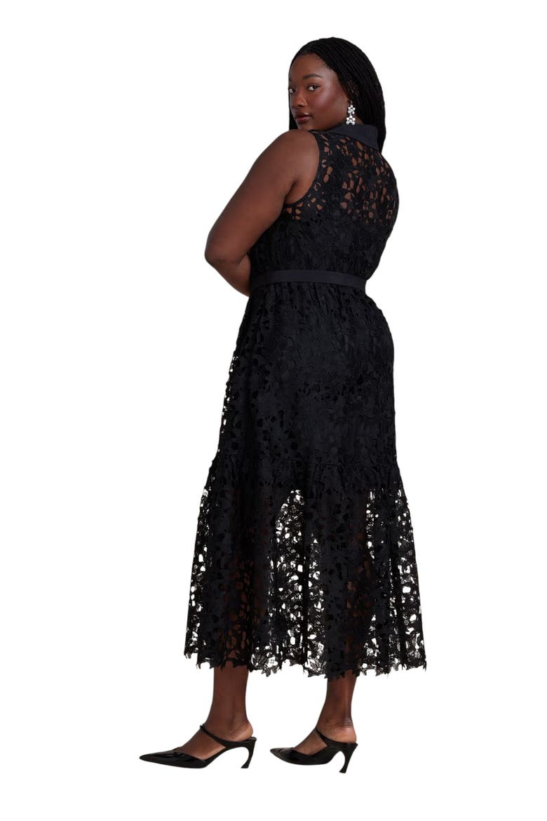 Lace Dress With Buttons & Collar, Alternate, color, BLACK ONYX