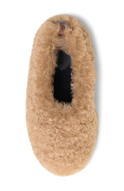 Apparis Magda Pluche™ Faux Fur Slipper In Brown