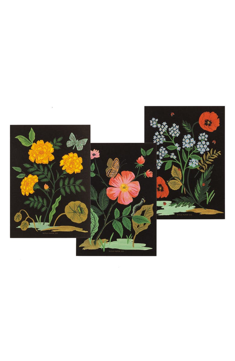 Rifle Paper Co. Botanical Social Stationery Set, Alternate, color, 