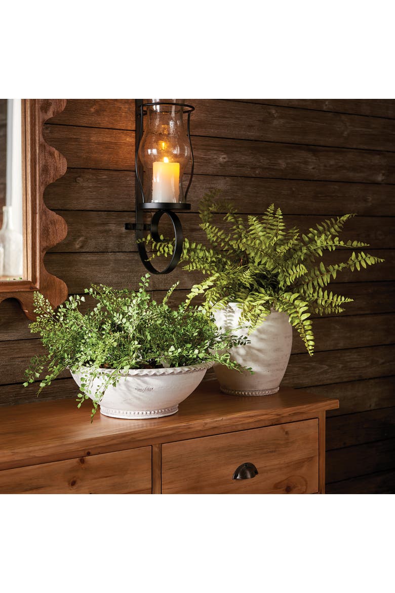 Boston Fern Drop-In 12", Alternate, color, Green