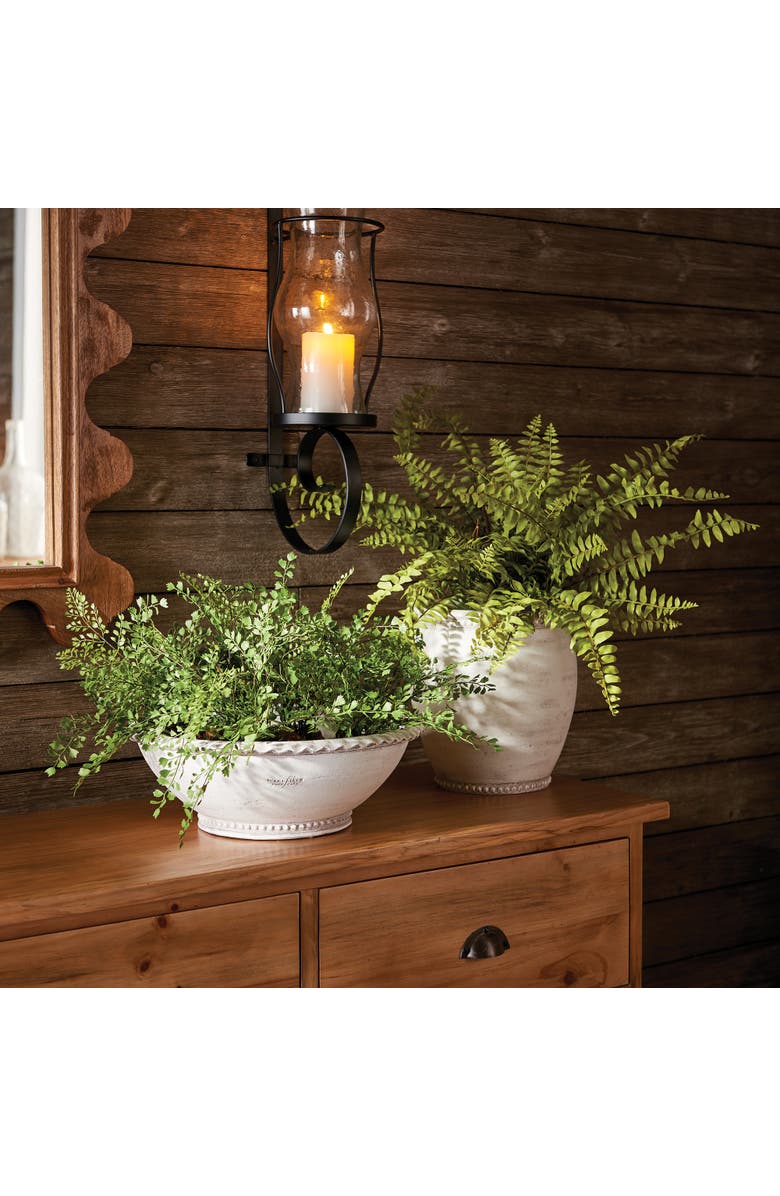 Napa Home & Garden Boston Fern Drop-In 12", Alternate, color, 