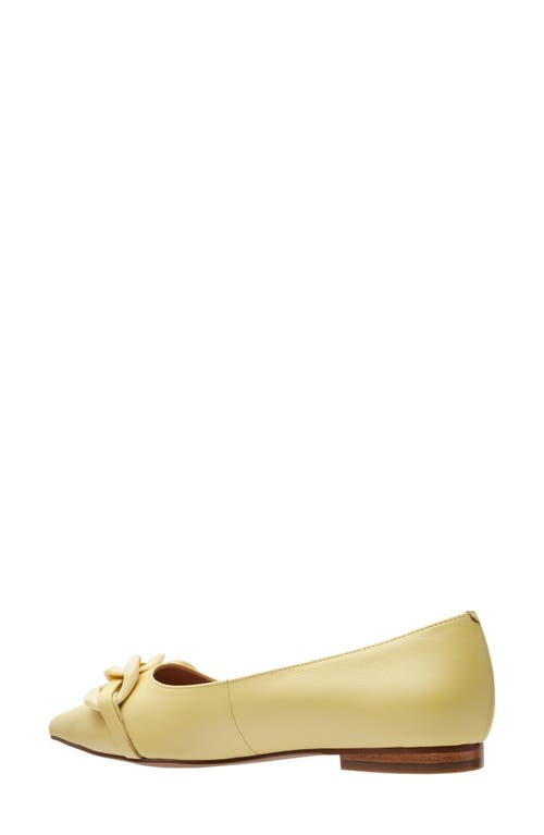 Linea Paolo Nora Pointed Toe Flat In Yellow