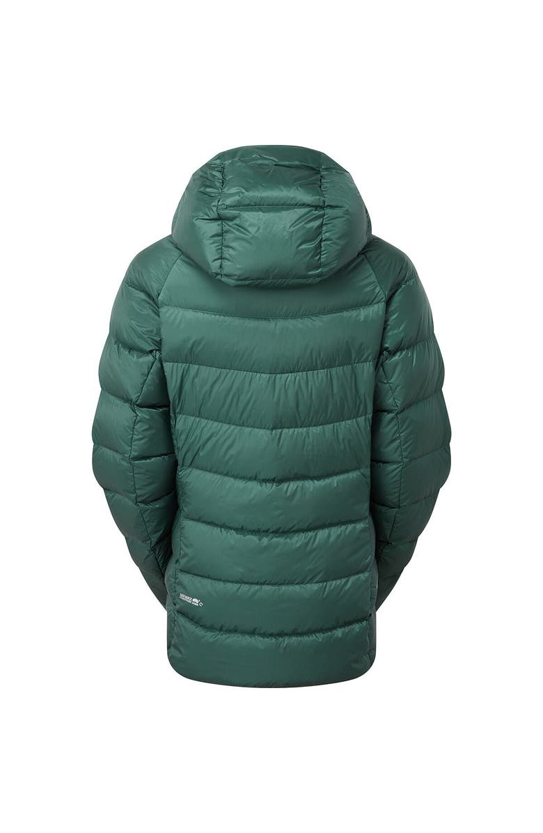 Rab Glaceon Pro Down Jacket - Women's, Alternate, color, Green Slate
