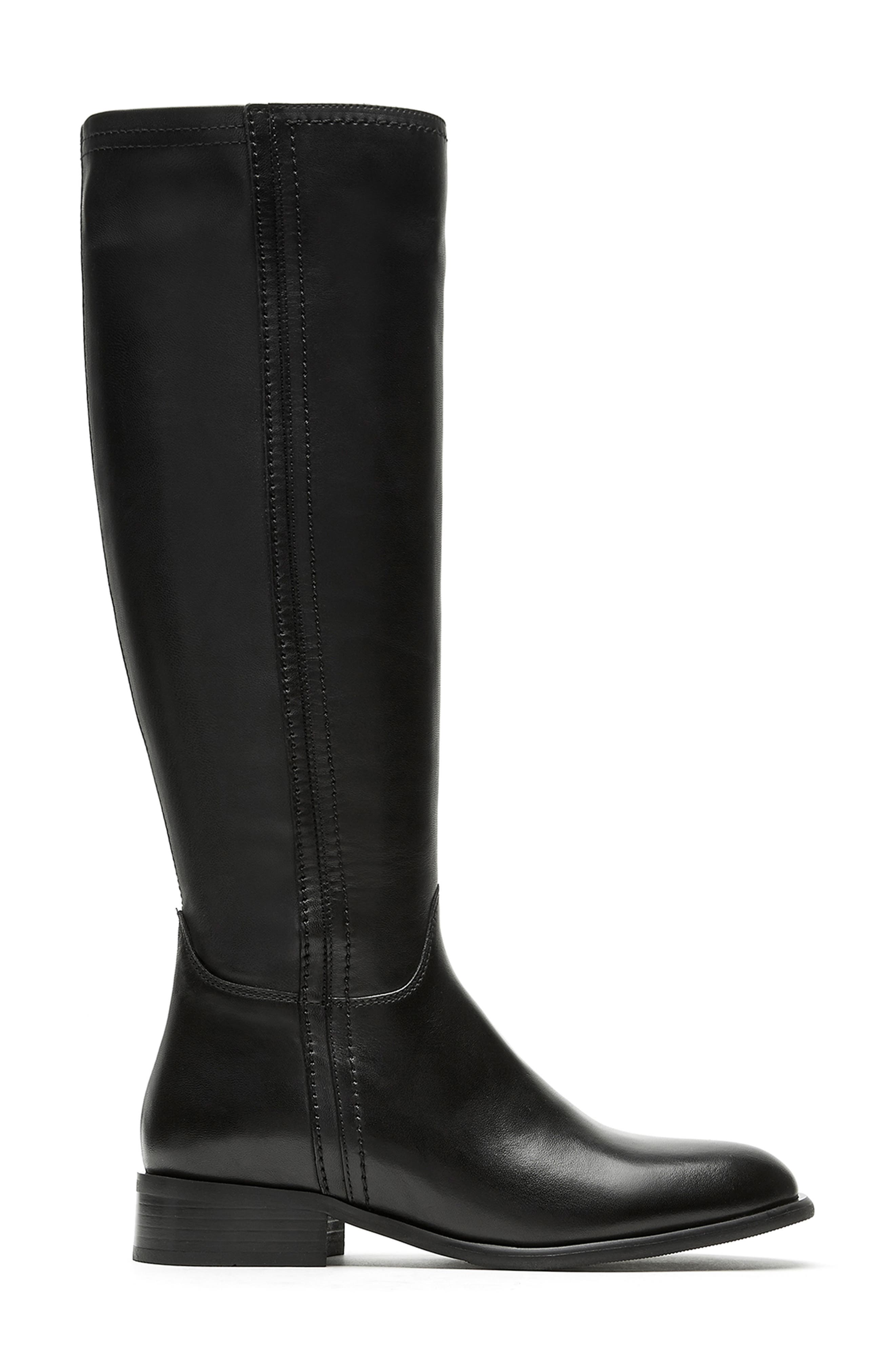 La Canadienne Amir Waterproof Tall Boot, Alternate, color, 