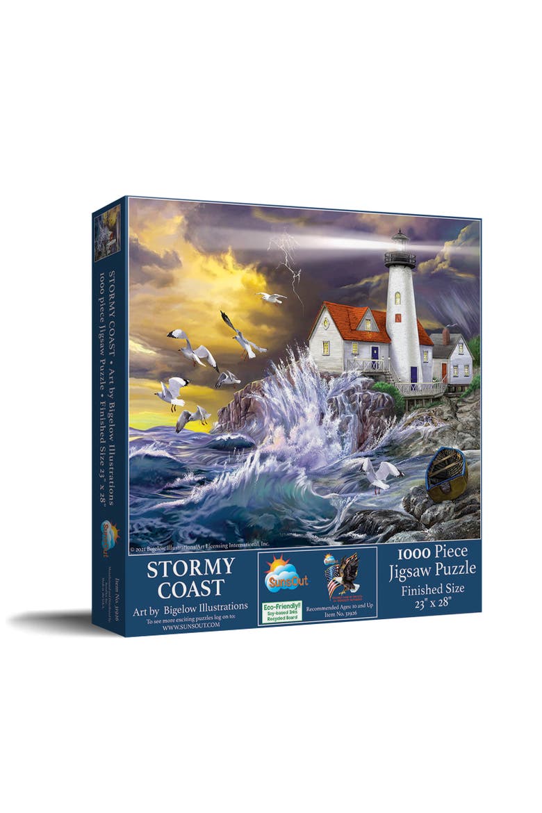 Stormy Coast 1000 piece Jigsaw Puzzle for Adults, Main, color, Multicolor