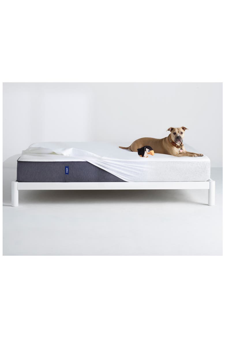 The Mattress Protector, Main, color, WHITE