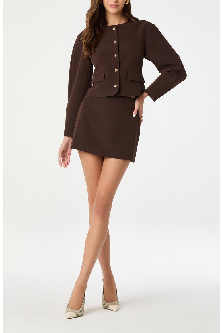 Mid Rise Miniskirt, Alternate, color, BROWN