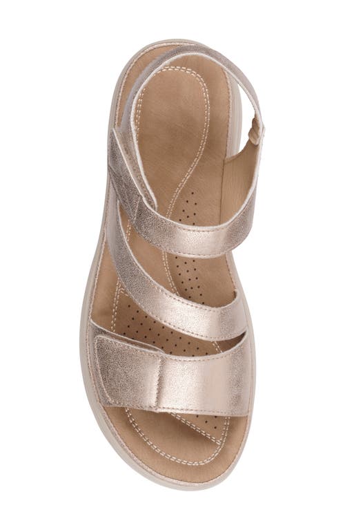 Gc Shoes Judy Comfort Sandal In Gold