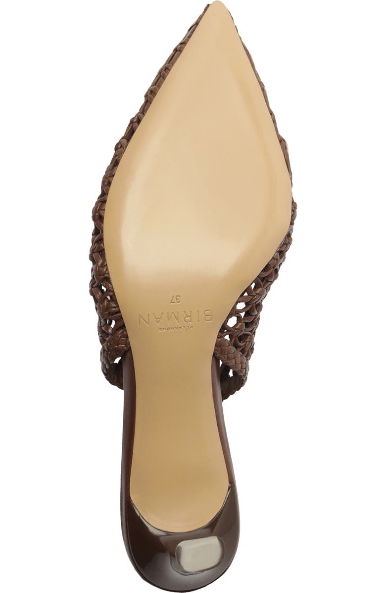 Alexandre Birman Jane Tresse Pointed Toe Slingback Pump, Alternate, color, Rich Brown