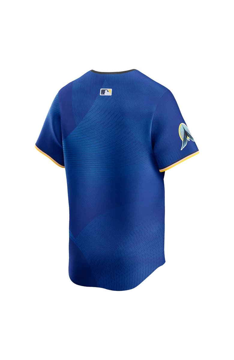 Nike Men's Nike Royal Minnesota Twins City Connect Limited Jersey, Alternate, color, Royal