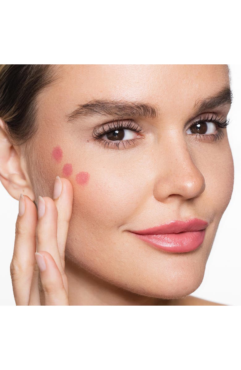 Trish McEvoy Essential Lip Pencil Crayon, Alternate, color, Nude