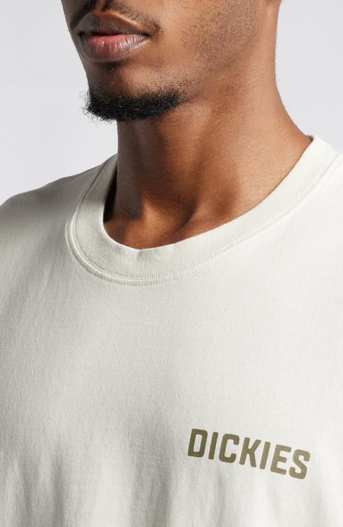 Dickies High Flying Cotton Graphic T-shirt In Cloud