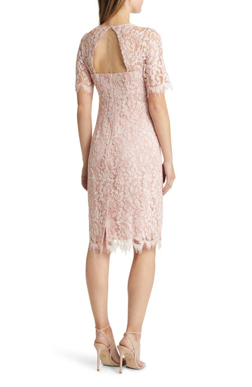 Shop Vince Camuto Lace Midi Dress