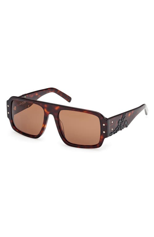 Mcm 55mm Polarized Navigator Sunglasses In Dark Havana/brown