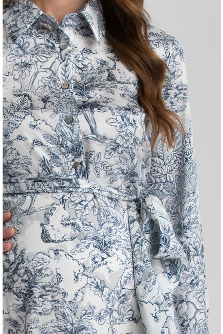 Print Long Sleeve Maternity Dress, Alternate, color, DARK BLUE