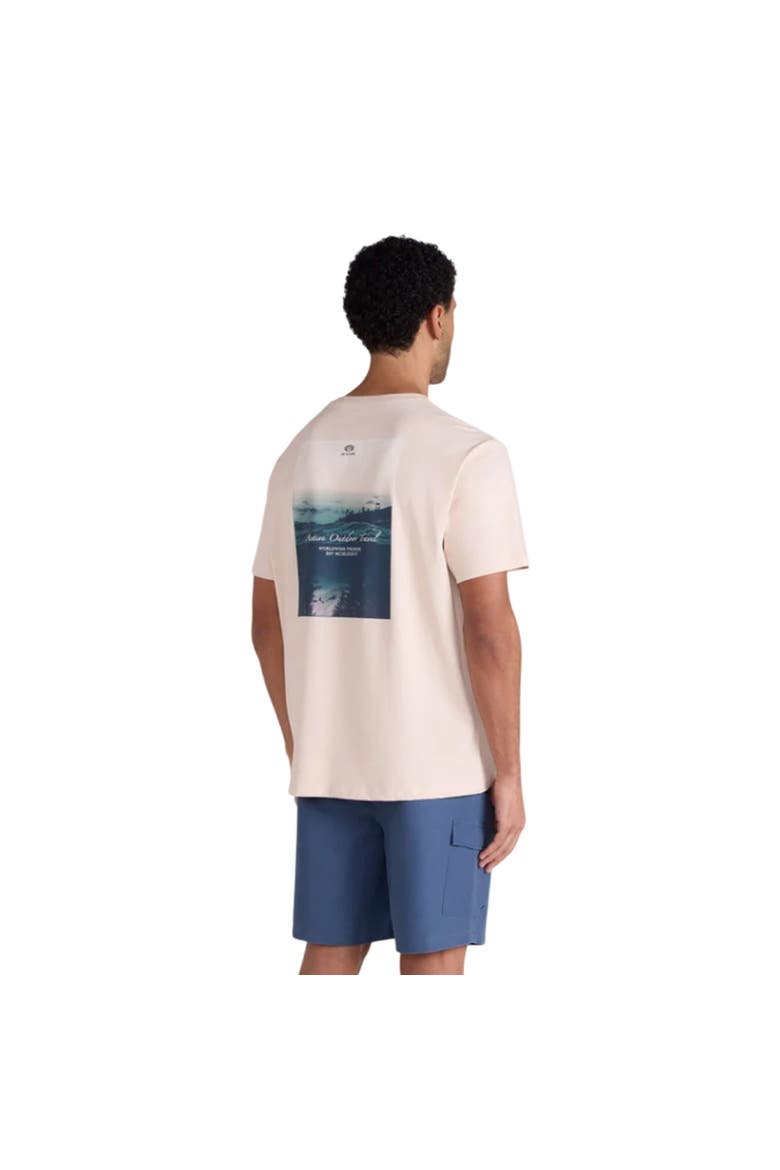 Chase Graphic Relaxed Fit T-Shirt, Alternate, color, Cream
