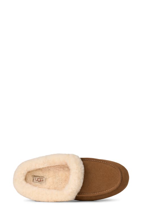 Ugg(r) Ansley Genuine Shearling Trim Suede Mule In Brown