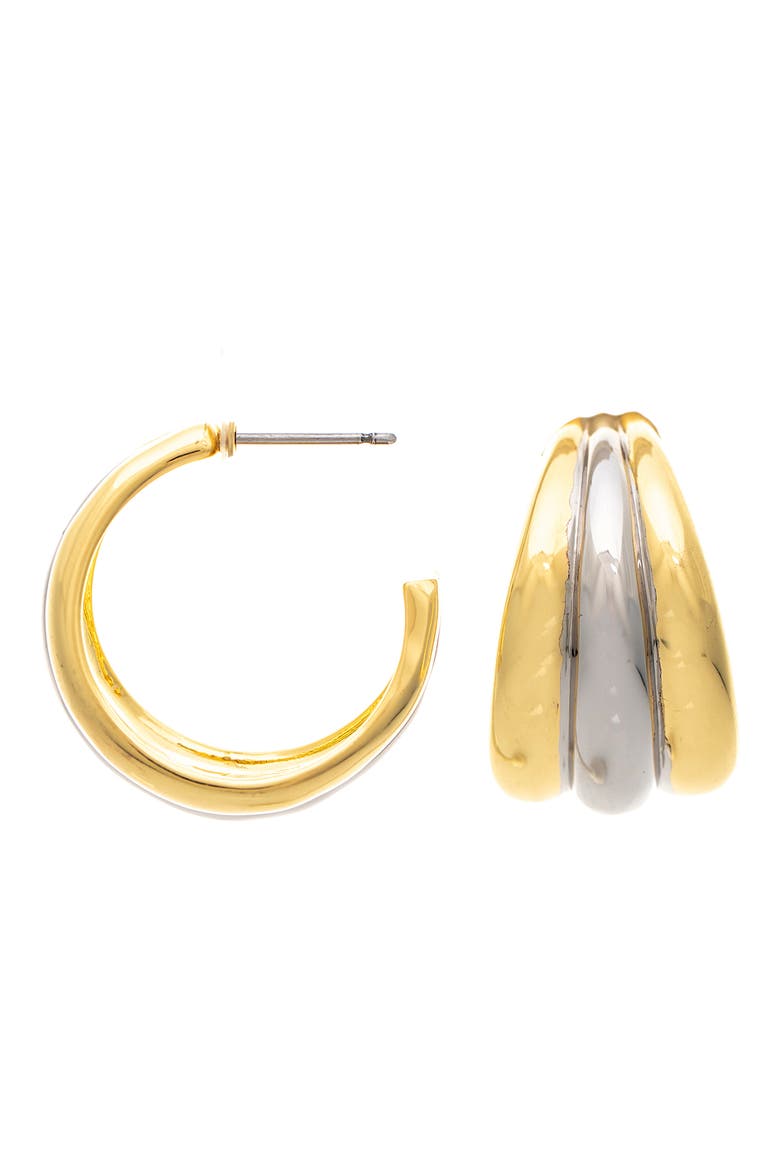 Two Tone Hoop Earrings, Main, color, TWO TONE