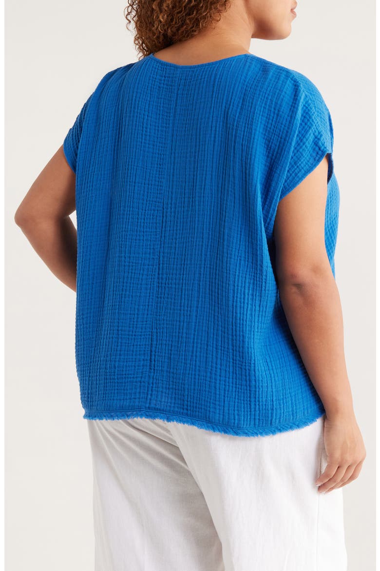 V-Neck Dolman Sleeve Organic Cotton Gauze Top, Alternate, color, BLUEBIRD