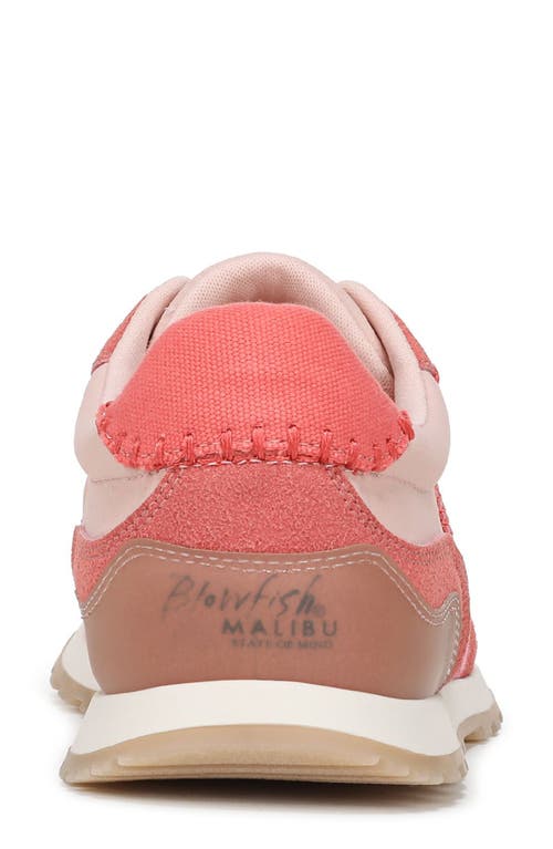 BLOWFISH MALIBU BLOWFISH MALIBU VALLEY SNEAKER