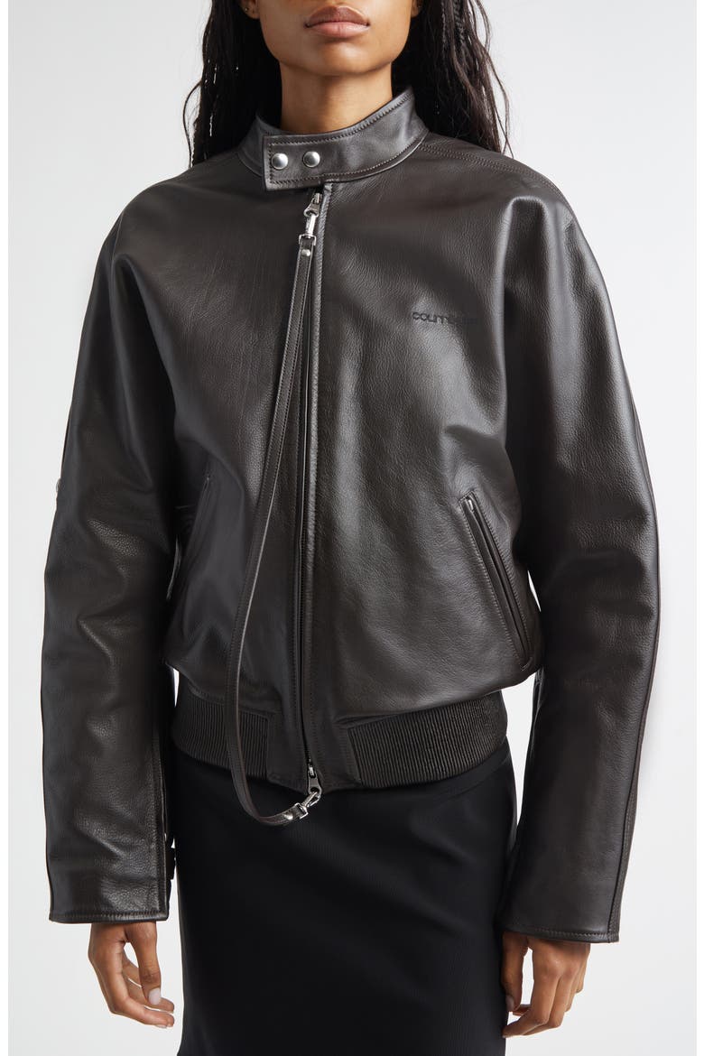 Embroidered Leather Bomber Jacket, Alternate, color, DARK BROWN