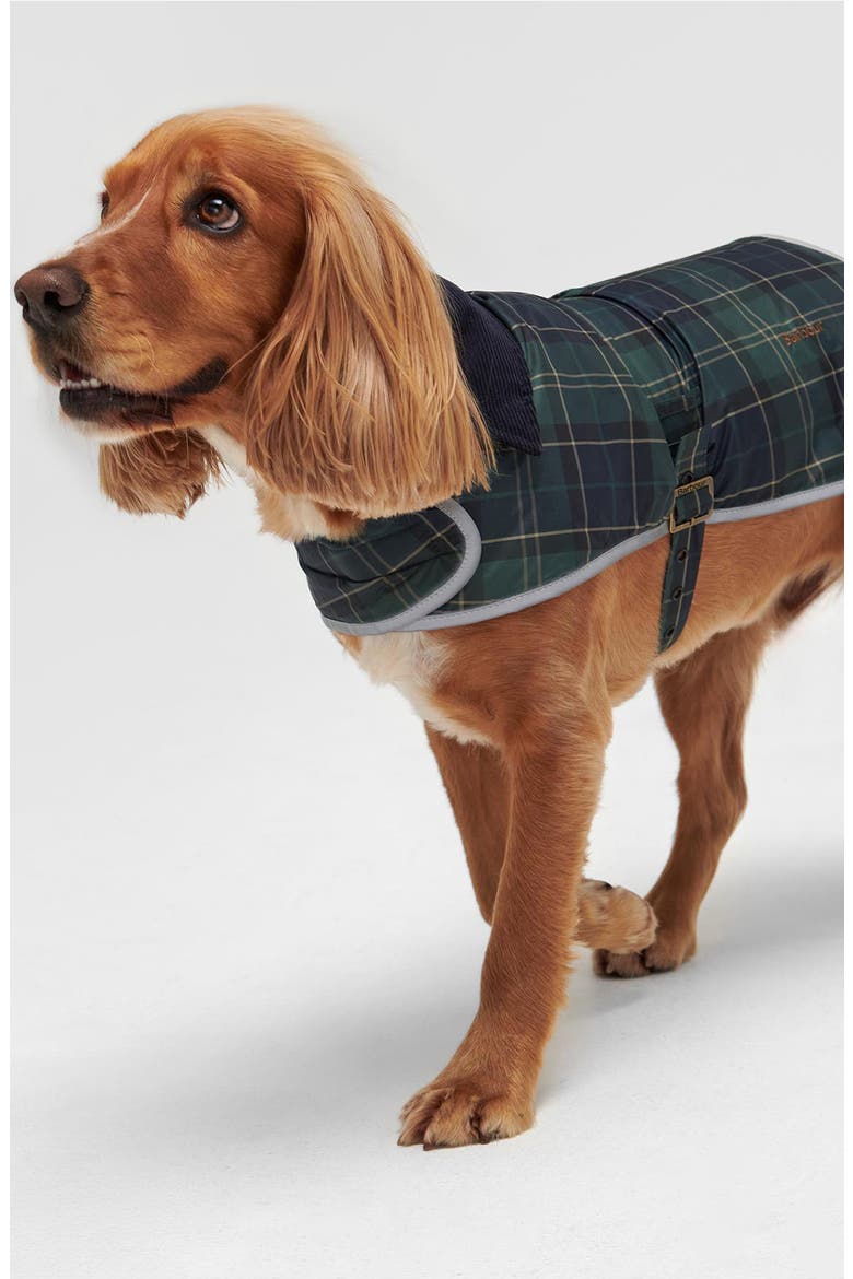 Tartan Waterproof Dog Coat, Alternate, color, GREEN LOCH TARTAN