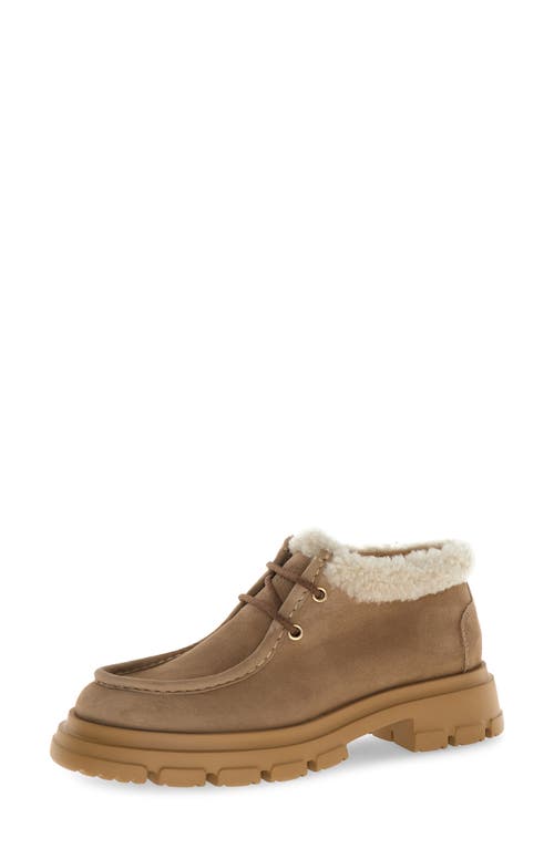 Candice Cooper Chado London Faux Shearling Bootie In Brown