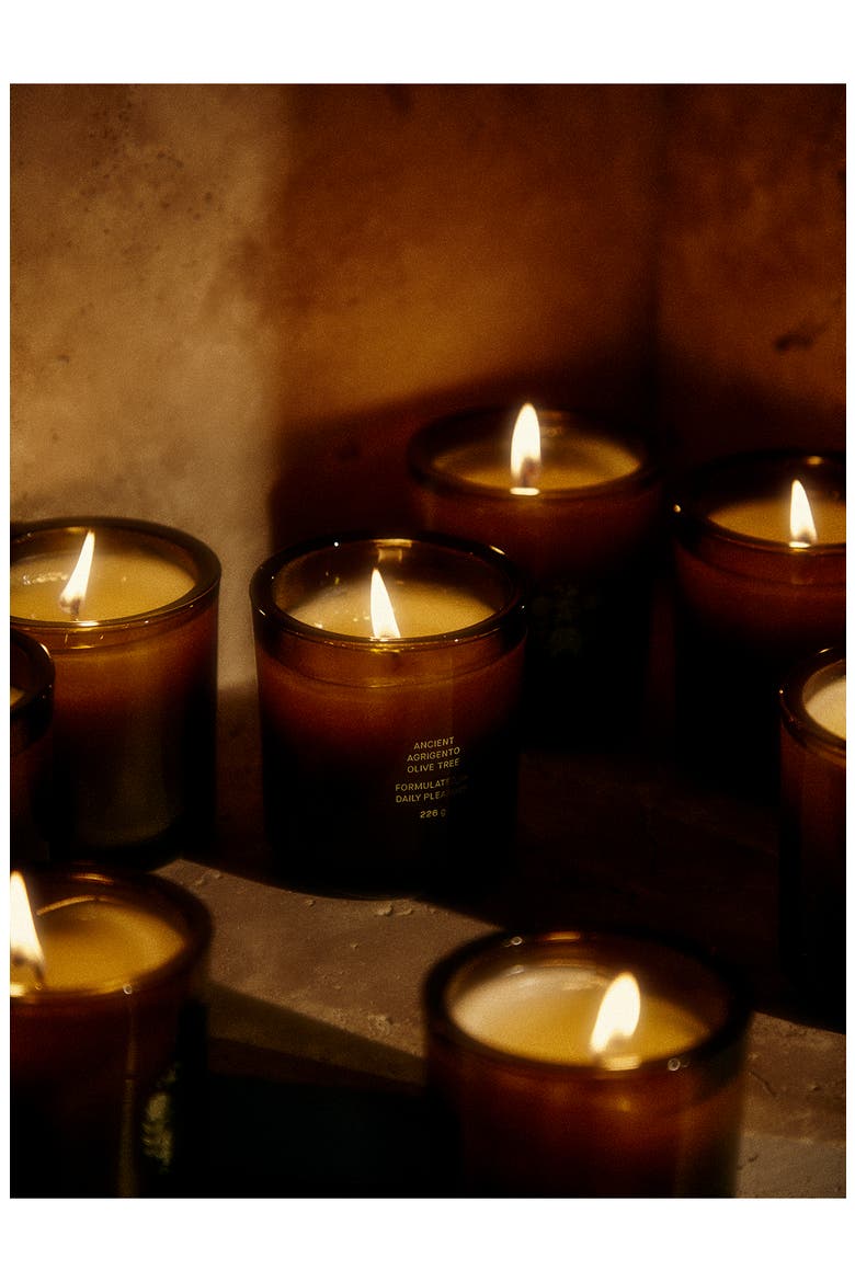 Ancient Agrigento Olive Tree Candle, Alternate, color, GREEN