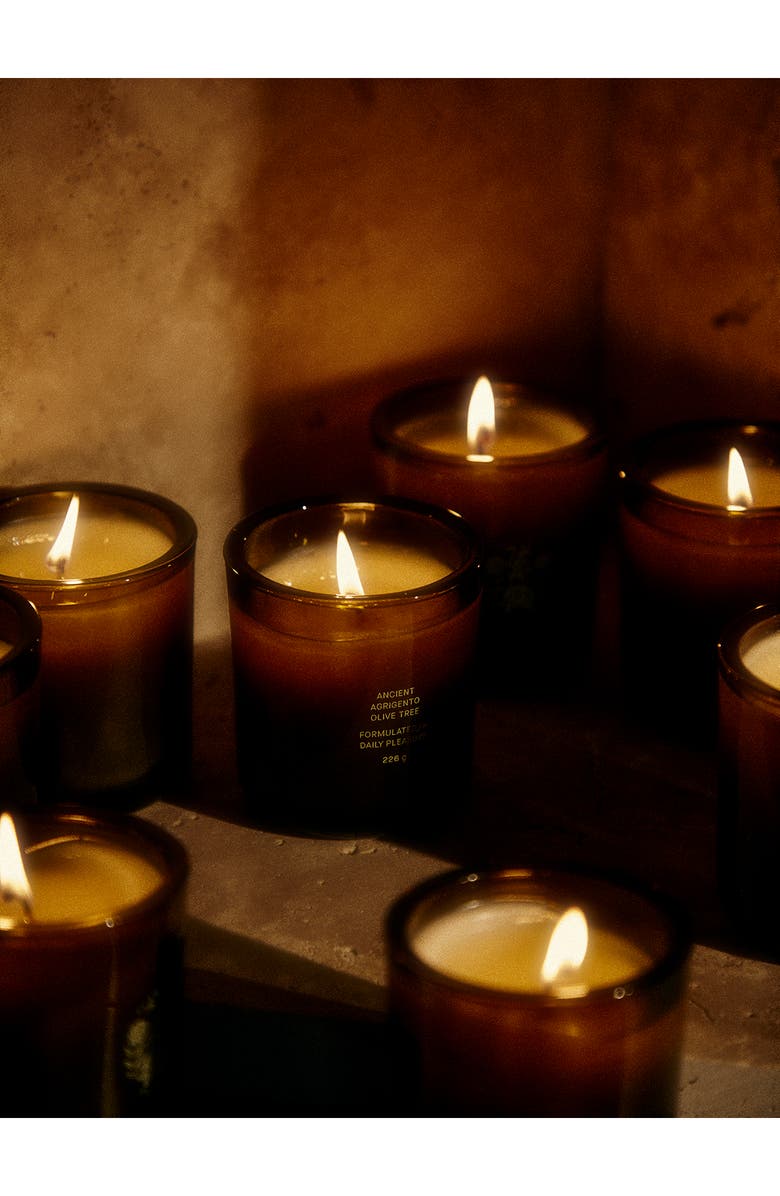 FLAMINGO ESTATE Ancient Agrigento Olive Tree Candle, Alternate, color, Green