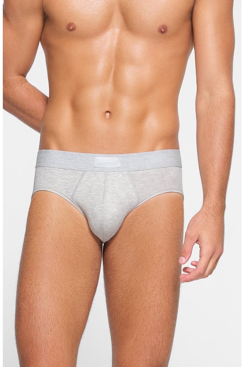 Cotton & Modal Blend Briefs, Main, color, LIGHT HEATHER GREY