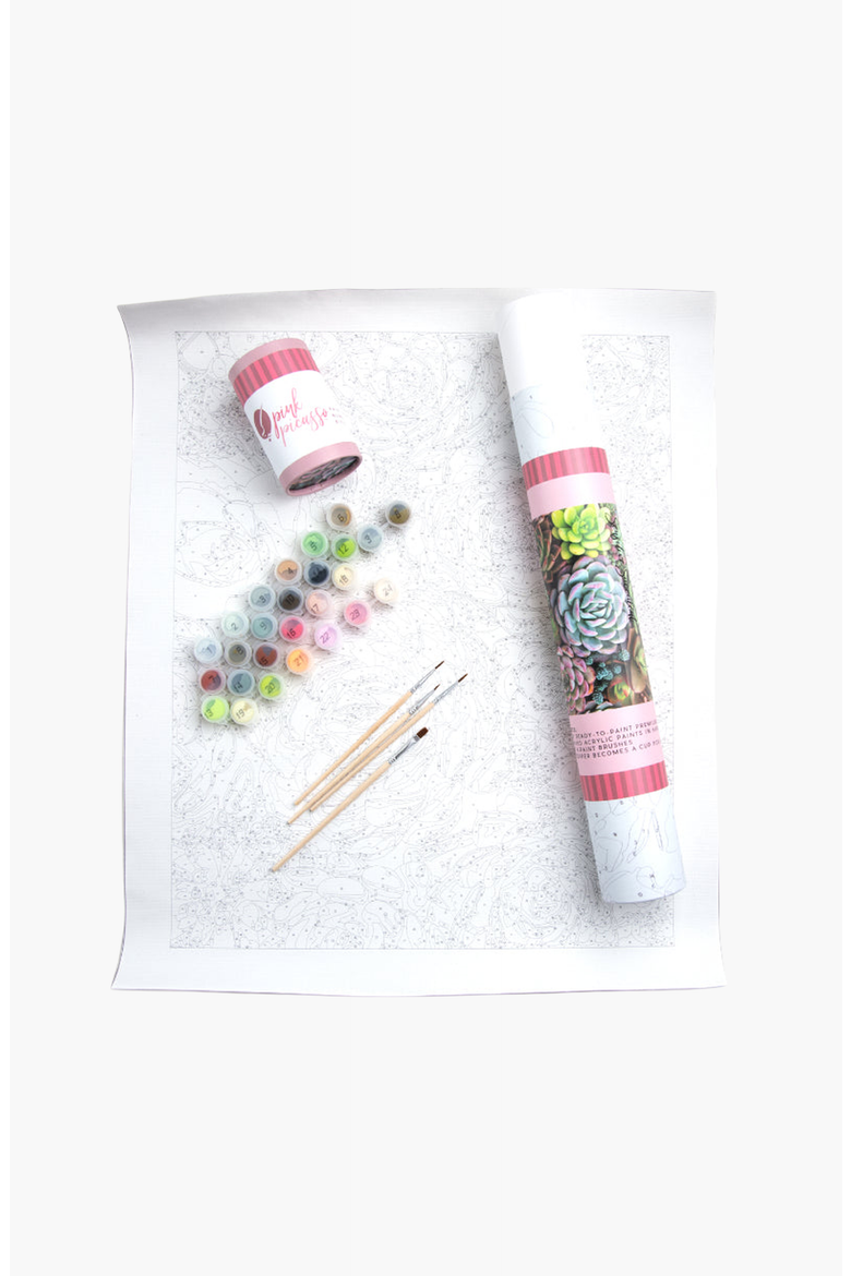 Sensitive Succulents Paint by Numbers Kit, Alternate, color, Greens / Pinks