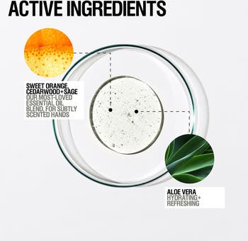 Invigorate Hand Wash with Sweet Orange, Cedarwood & Sage